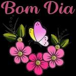 Bo Noits