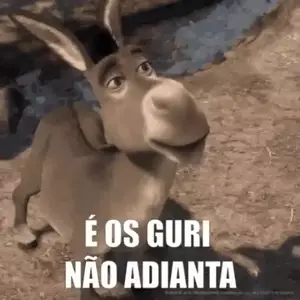 v9eliK