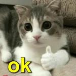 Nem judas mentiu tanto assim