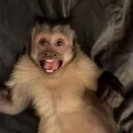 bora tomar uma 
