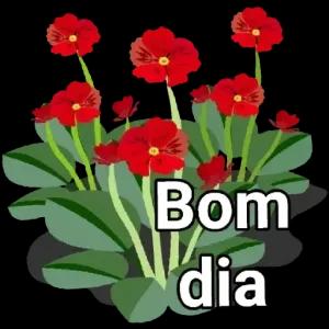 Dzsb6L