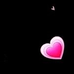 🥰🥰🥰
