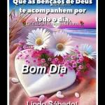 novos projetos 