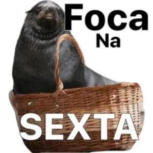 Foca Na Sexta - getsticker.com