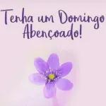 bom dia