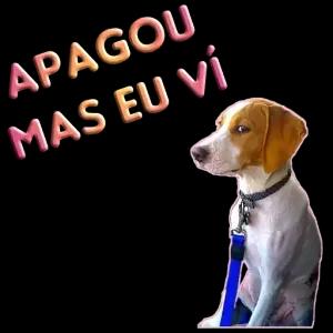 S9GajP