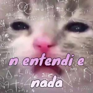 Bq6vwD