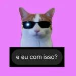 tu é gay 