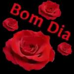 bom dia