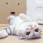 Você disse churrasco?