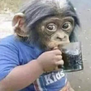 aRUJSI