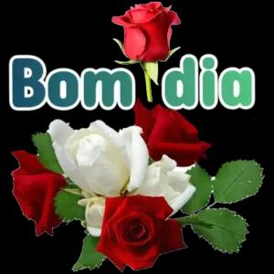 EMdtLo
