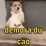 bolofofos