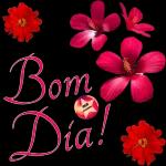 Ofe line BOM DIA 