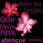 TENHODE TER VOCÊ NAMINHA VIDA