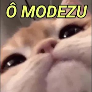 FYHdsQ