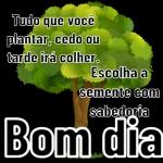  Bom Domingo
Nette
