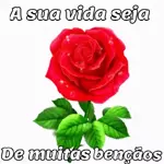 Bom dia! MORNING