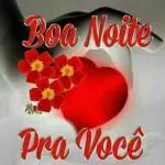 pacote inteli...
