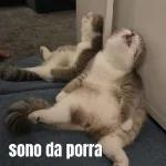 a culpa e sua 