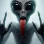 ATENÇÃO LEIA AS REGRAS DO GRUPO