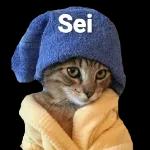 Gatinho
