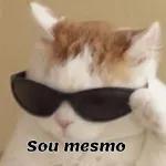 Sou mesmo