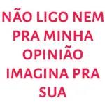 bebês 