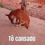 dançando