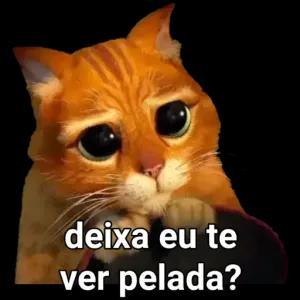 deixa eu te ver pelada?  - getsticker.com