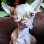 VOCÊ ESQUECEU
DE MIM