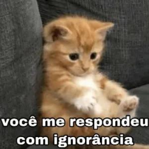 YrFHrq