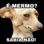 VAI DEMORAR MUITO?