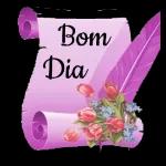 bom dia
