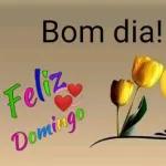 Bom Dia!! Feliz Domingo Abraços