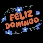 Feliz domingo