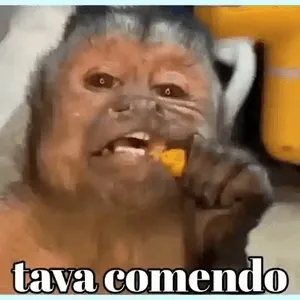 JbmrTX