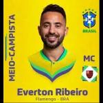 Seleção brasileira