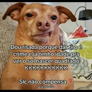 qcsPLb