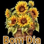 BOA TARDE