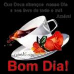 CART VADO அயலா பாக்காக FLAMENGO 