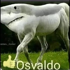 UhtqXn