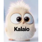 Kalaio