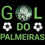 Vamos ganhar porco🏆