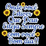 novos projetos 