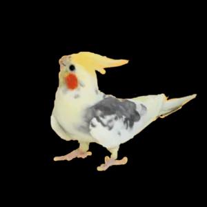 9PjHqr
