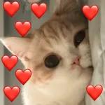 não tenho nem figurinha para esse momento