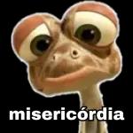 cuida 