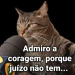 figurinhas 