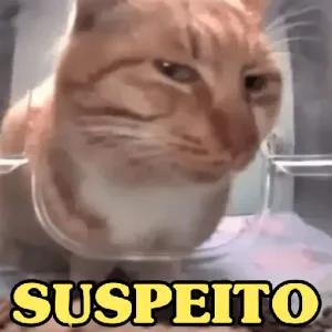 edkgOG